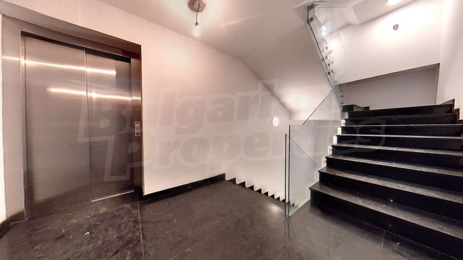 Gallery Picture 8