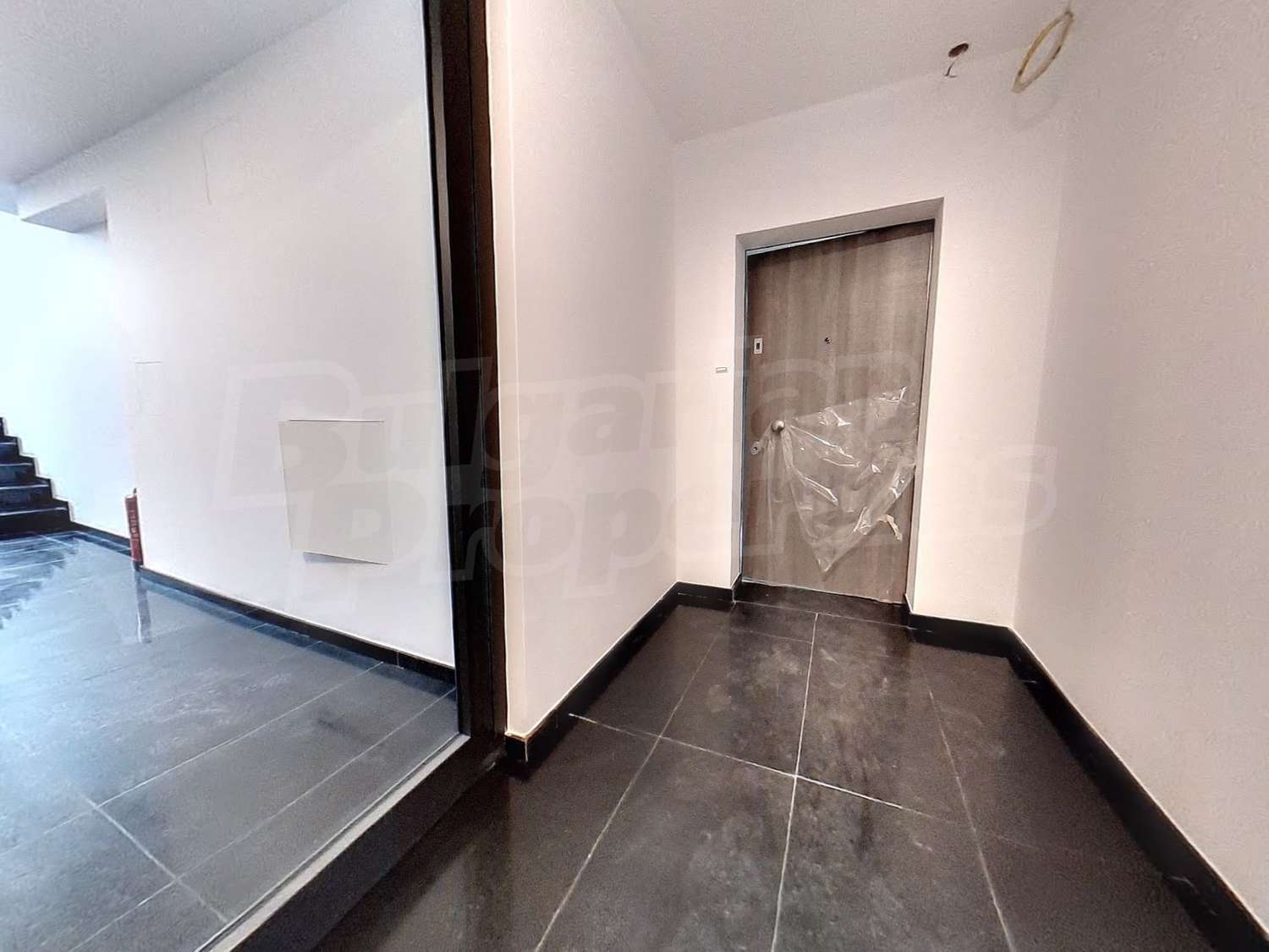 Gallery Picture 9