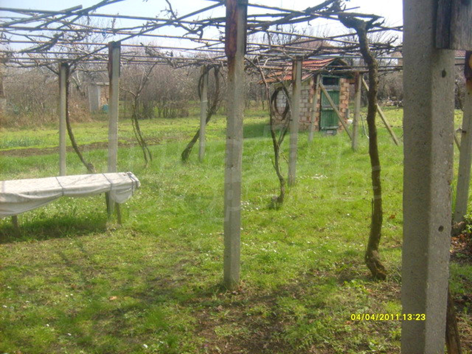 Gallery Picture 9