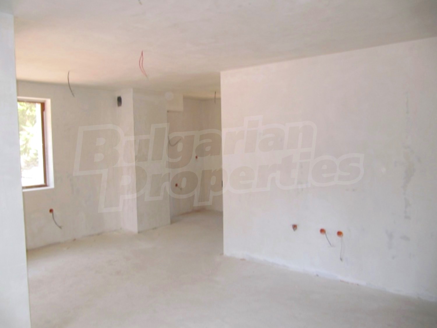 Gallery Picture 5