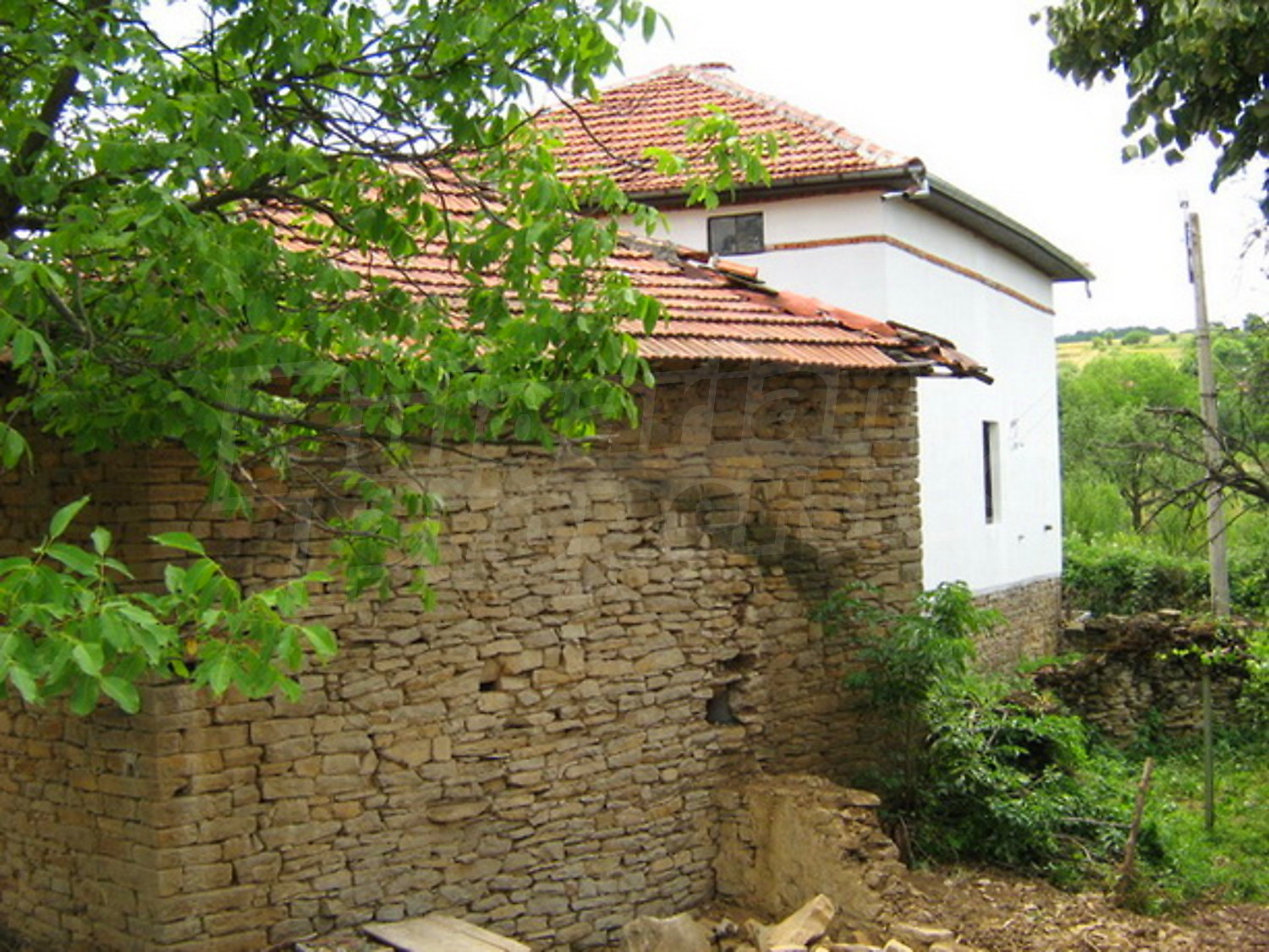 Gallery Picture 11