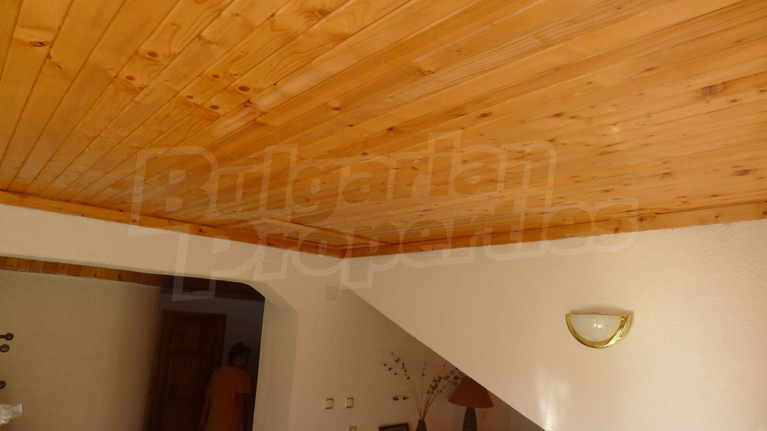 Gallery Picture 42