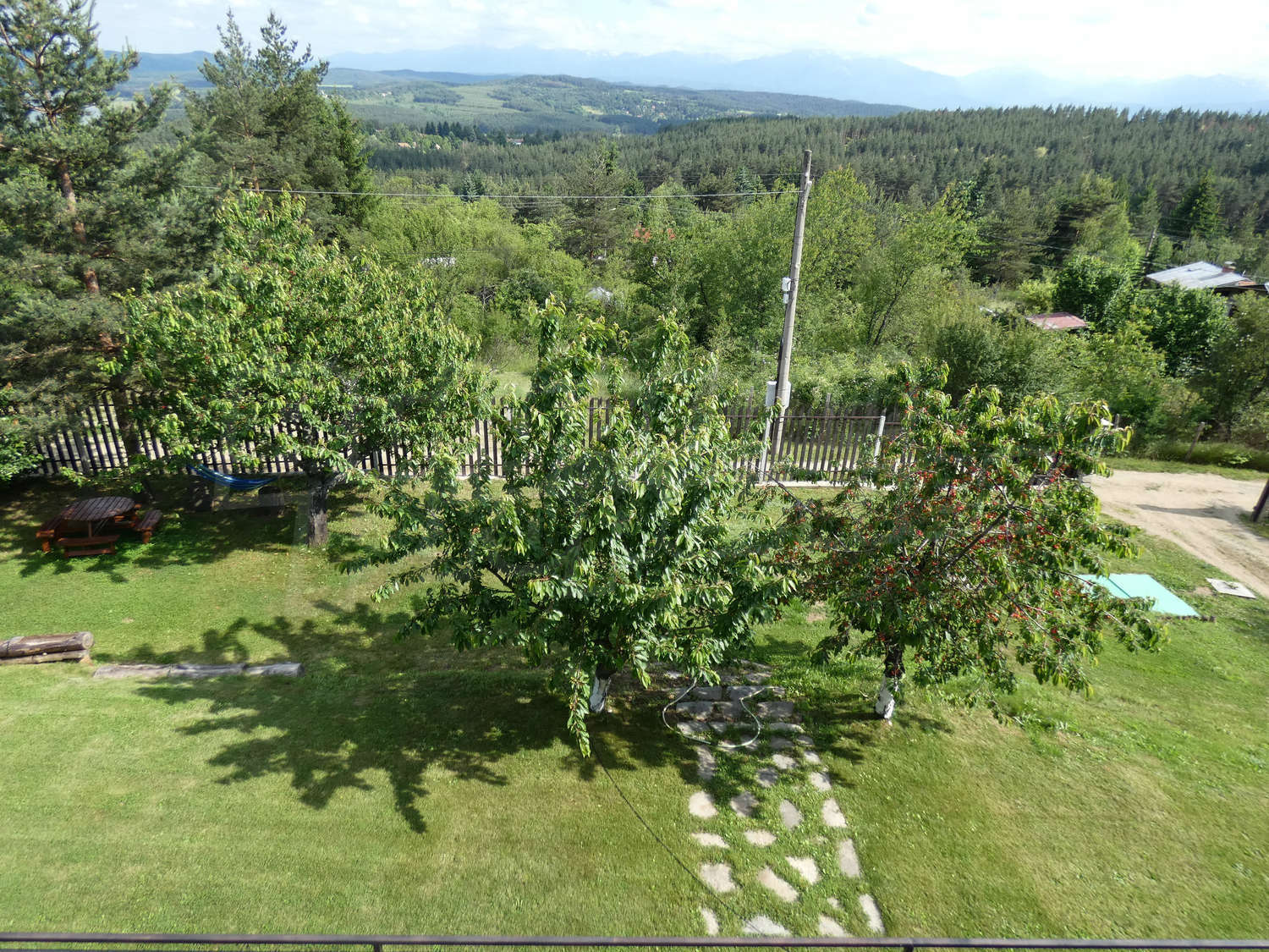 Gallery Picture 43