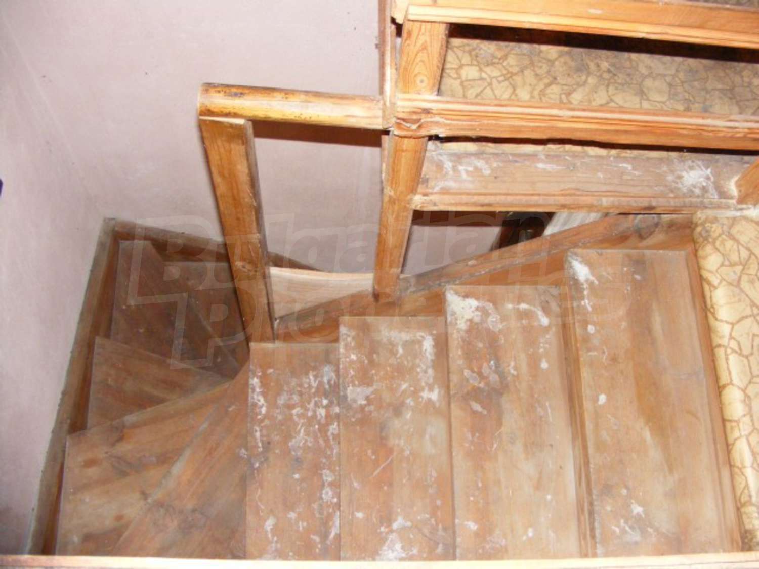 Gallery Picture 16