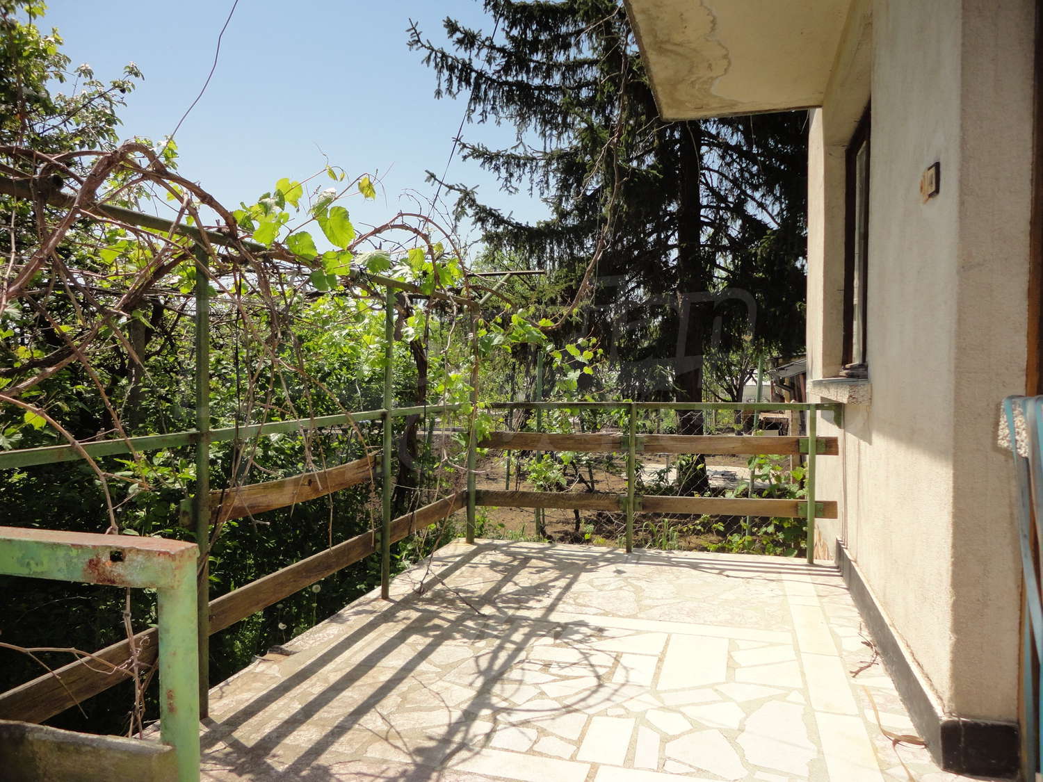 Gallery Picture 5