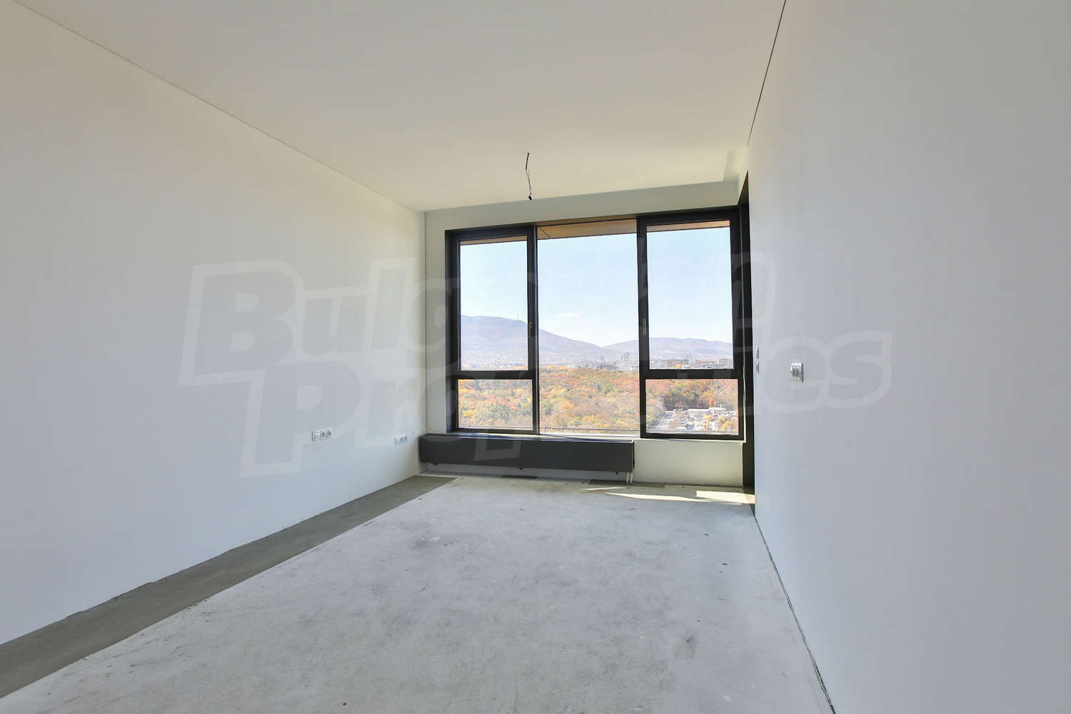 Gallery Picture 11