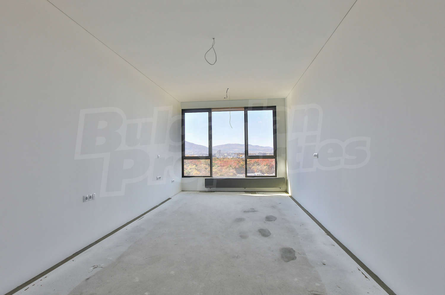 Gallery Picture 15