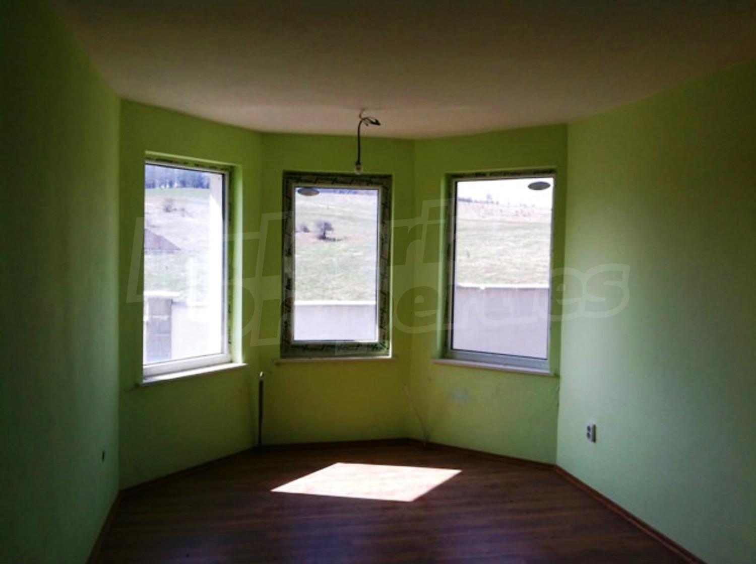 Gallery Picture 12