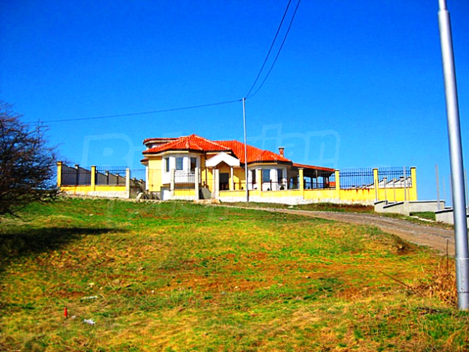 Gallery Picture 26