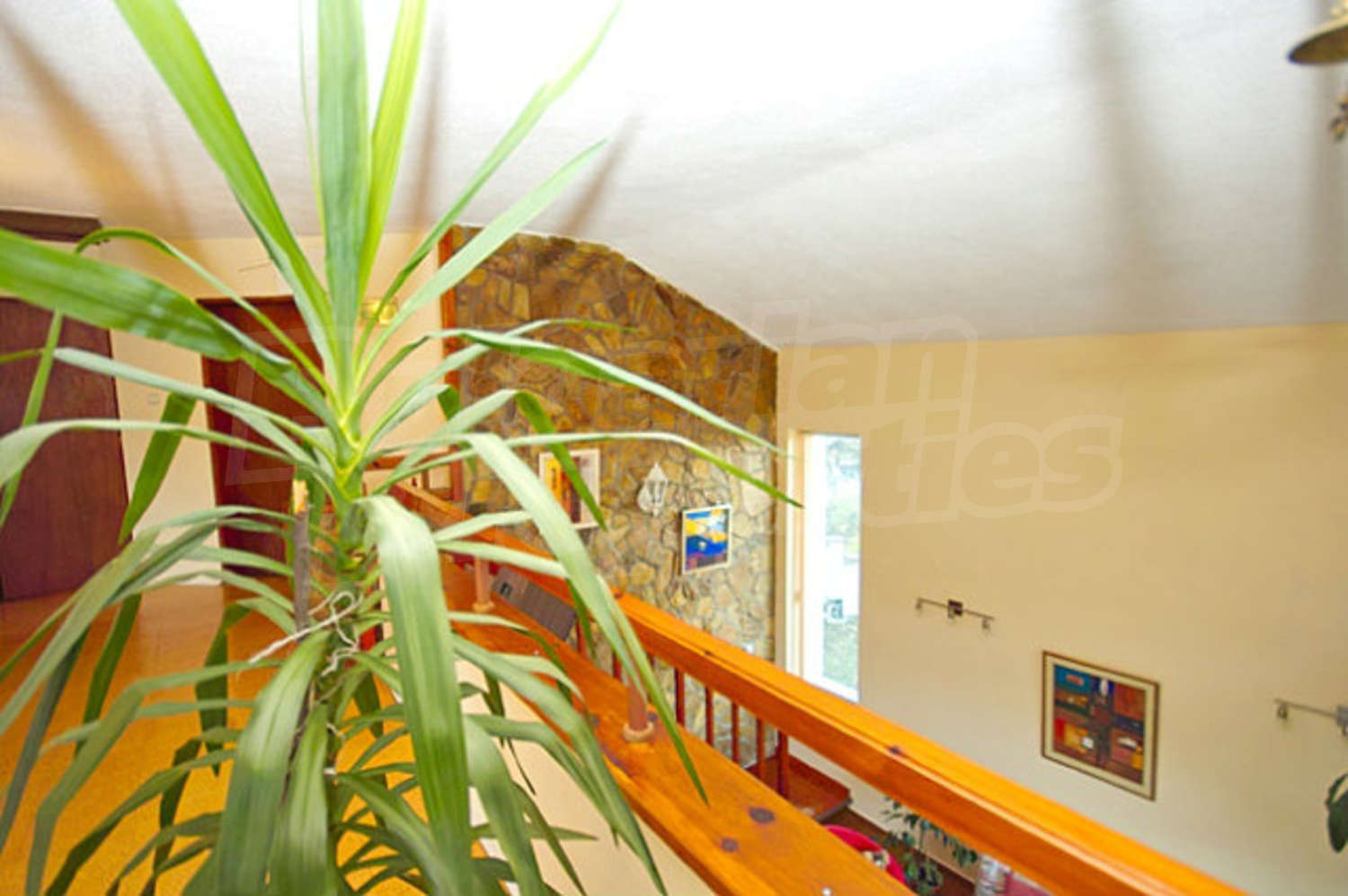 Gallery Picture 12