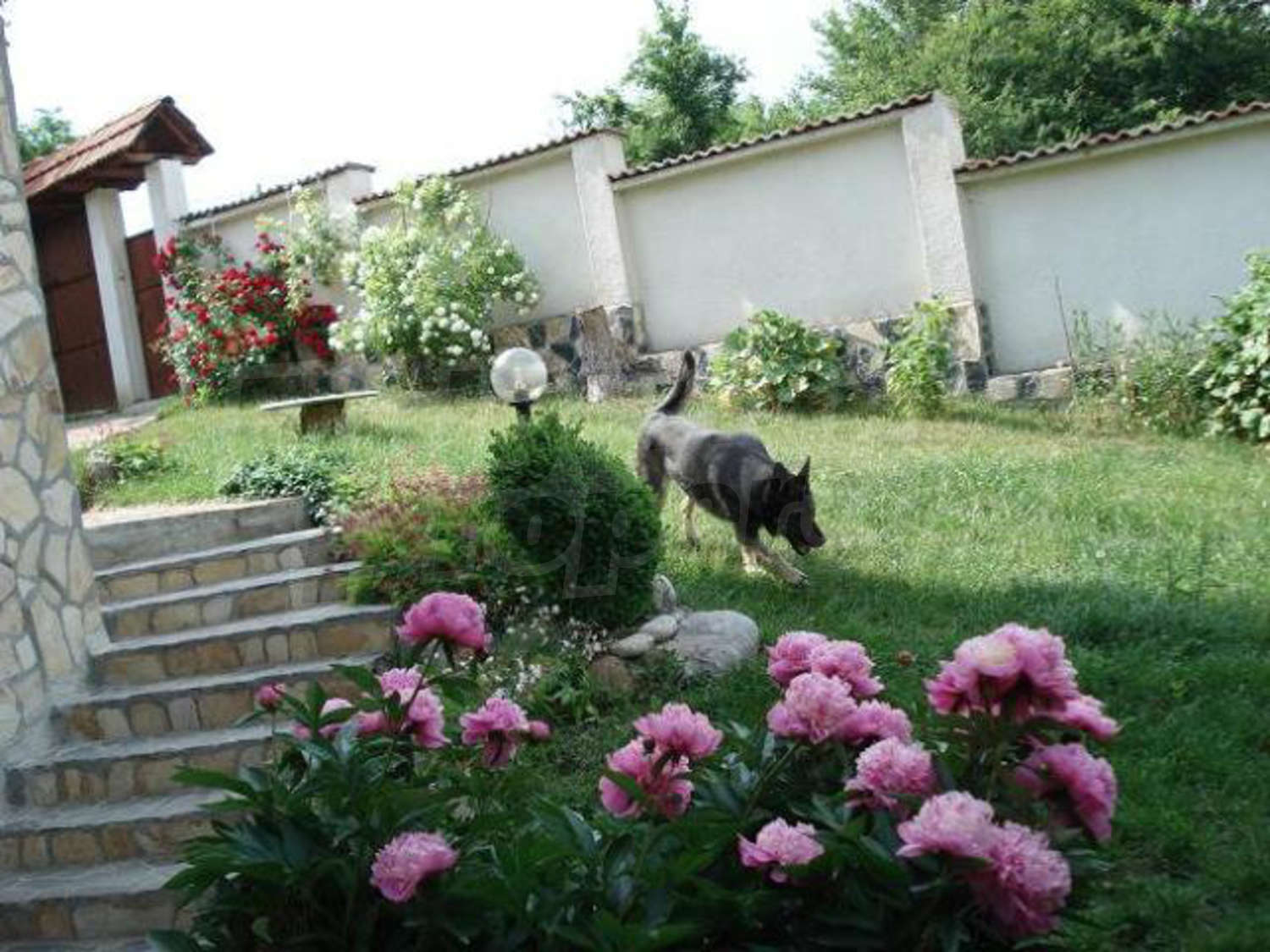 Gallery Picture 27
