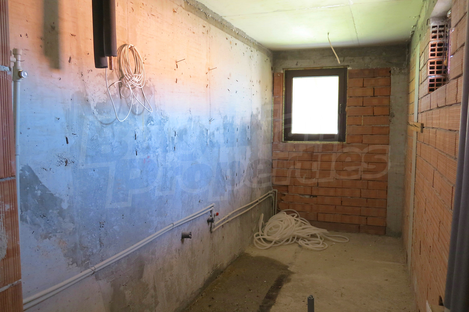 Gallery Picture 22