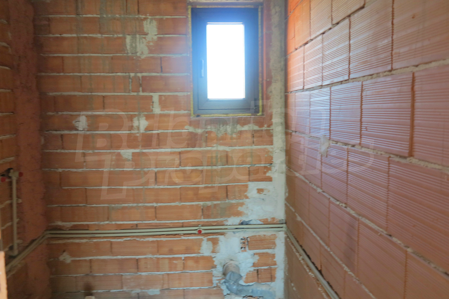 Gallery Picture 31