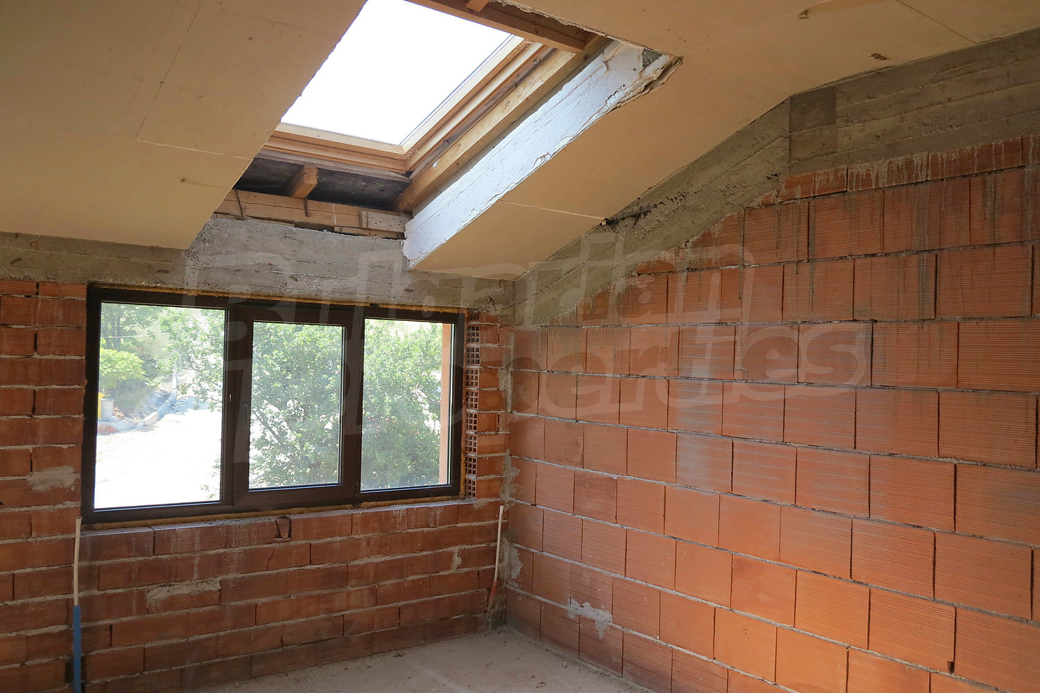 Gallery Picture 36