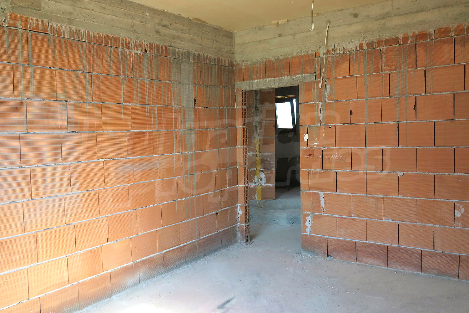Gallery Picture 38