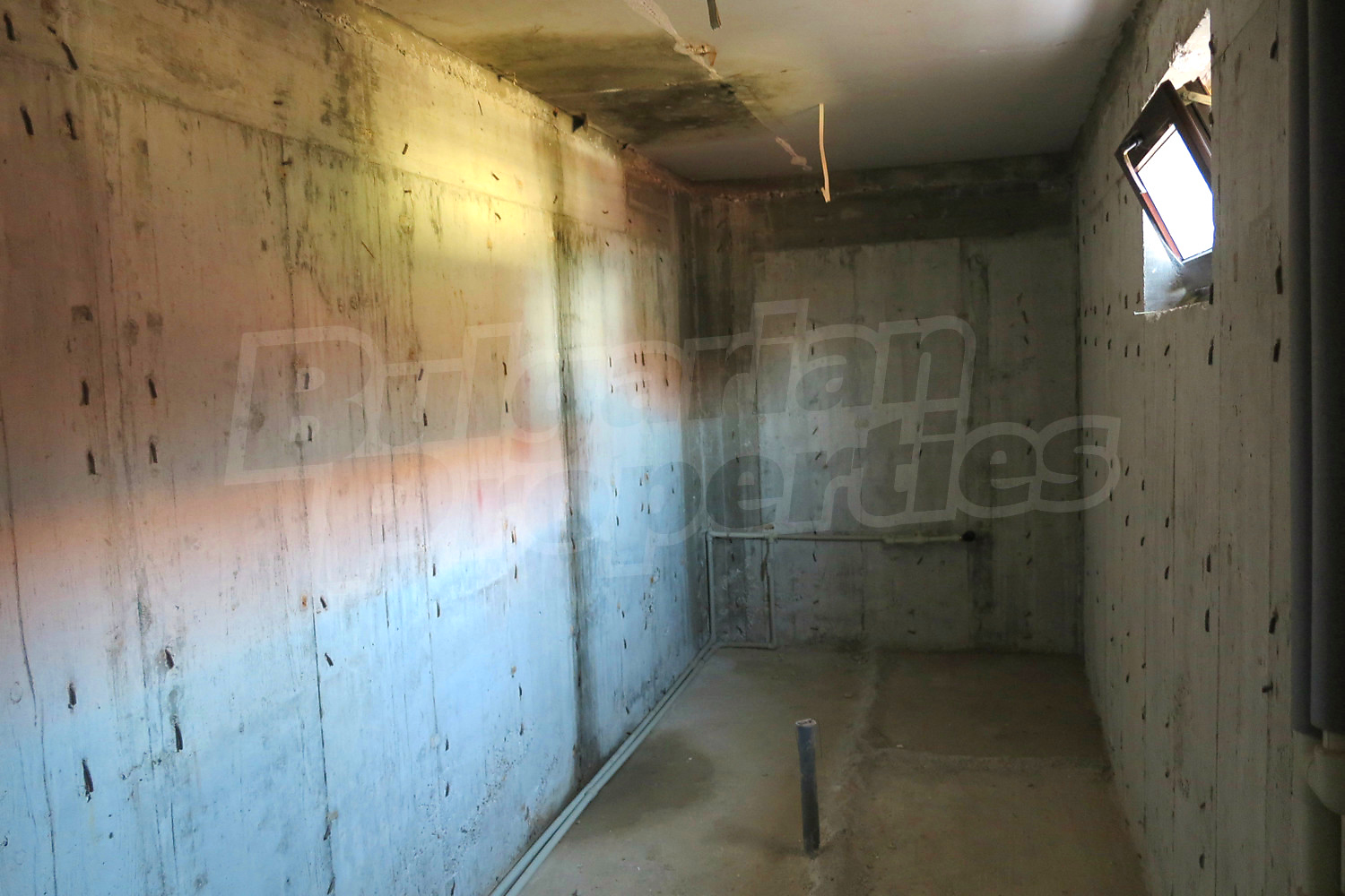 Gallery Picture 57