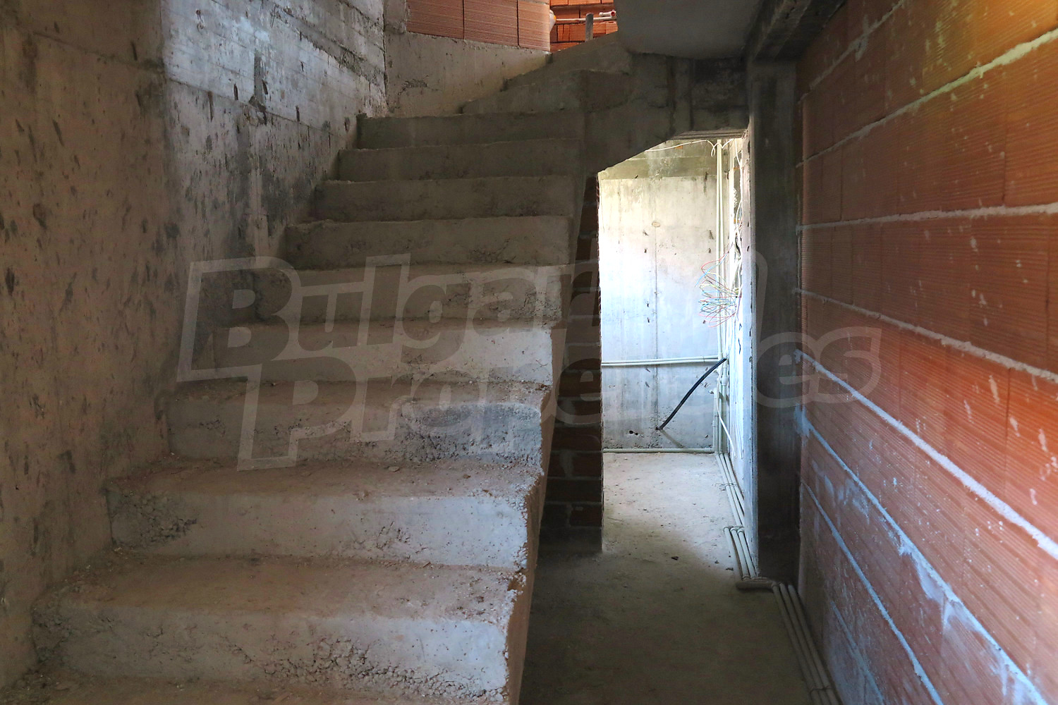 Gallery Picture 58