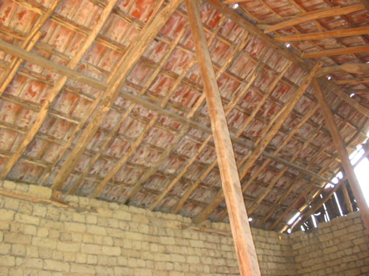 Gallery Picture 10