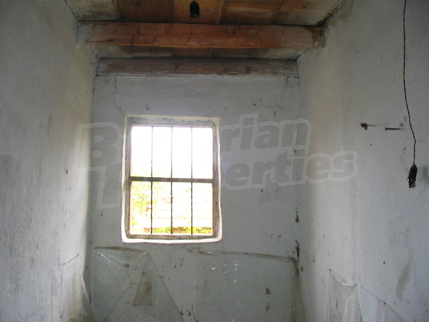 Gallery Picture 7