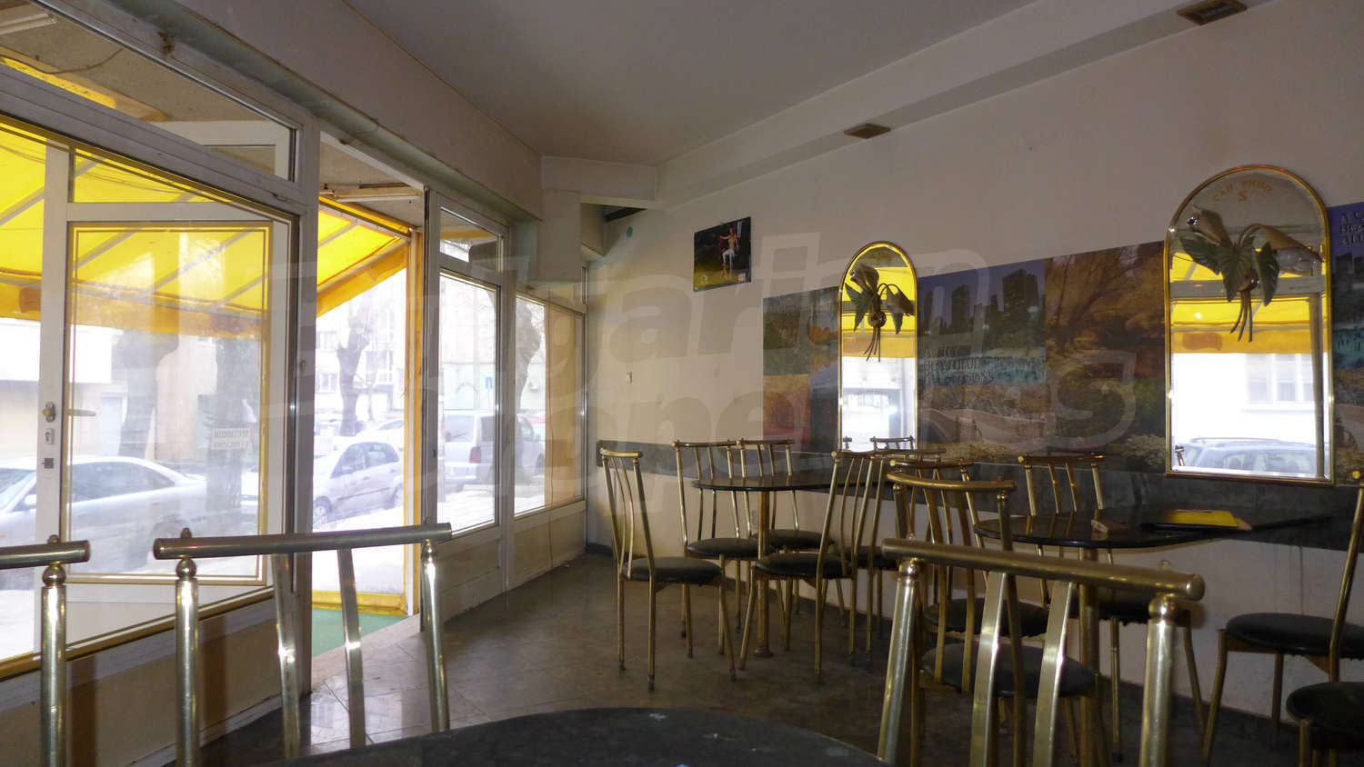 Gallery Picture 6