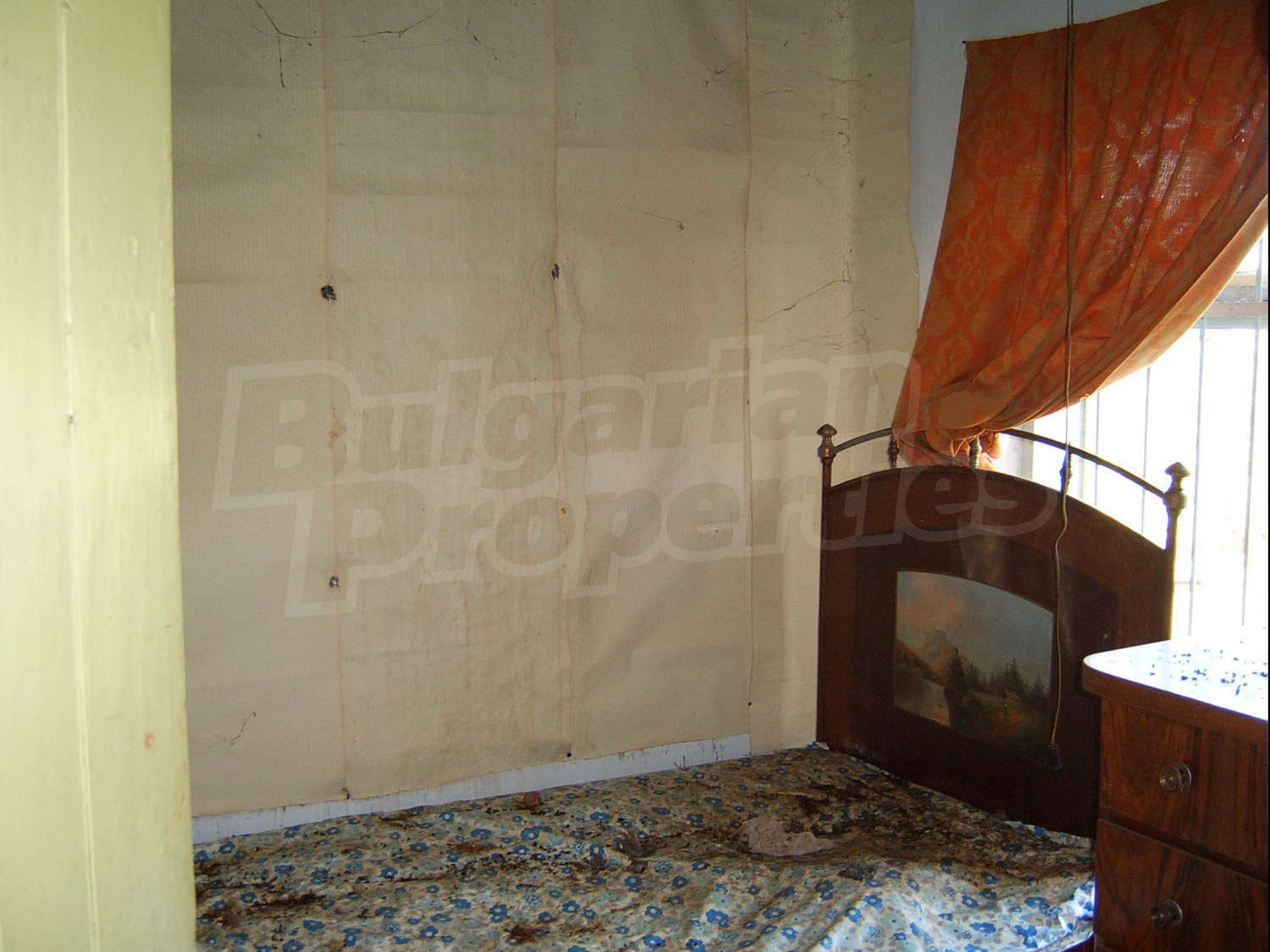 Gallery Picture 11