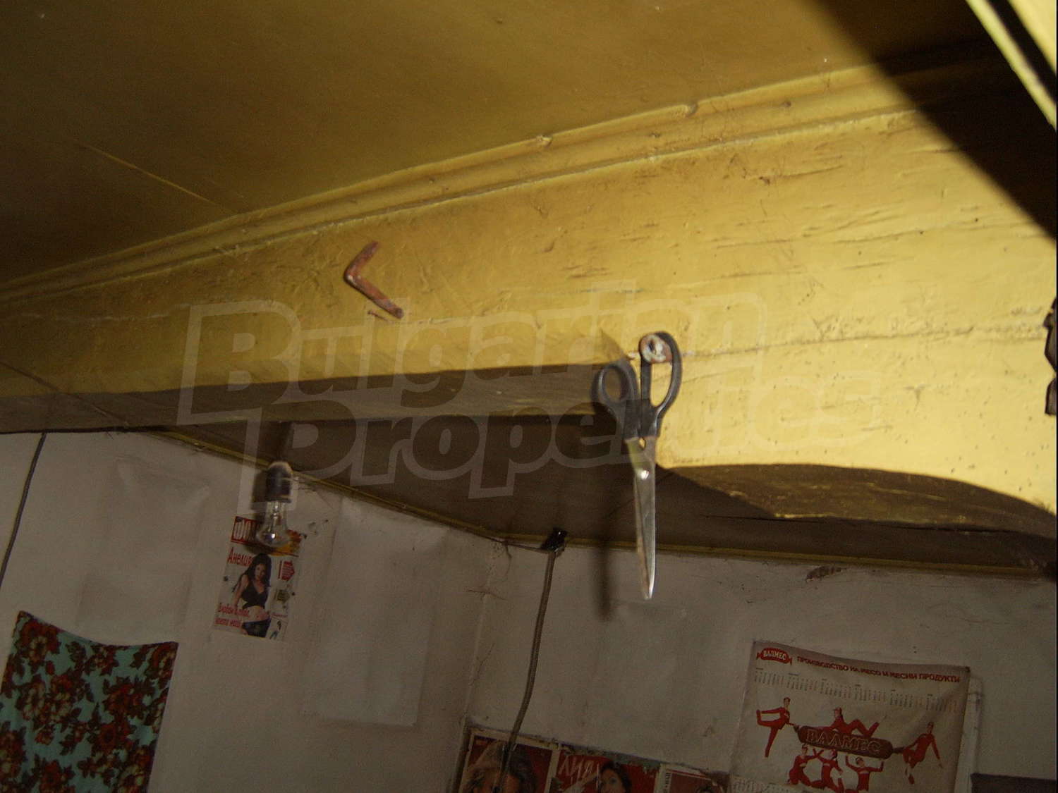 Gallery Picture 8