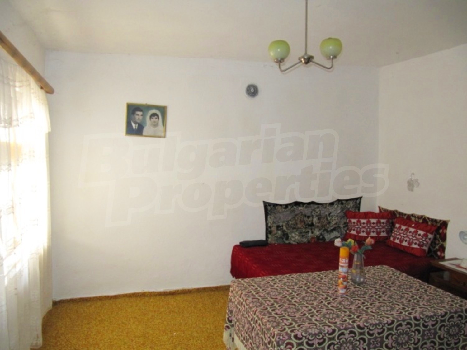 Gallery Picture 12
