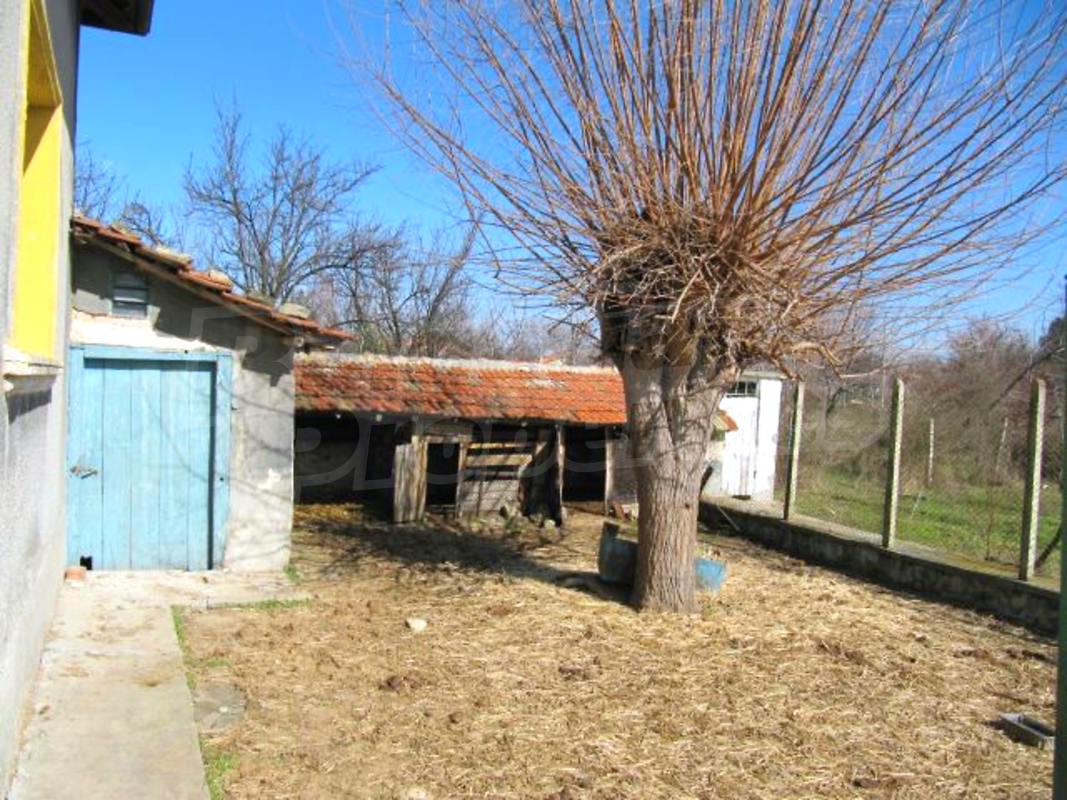 Gallery Picture 29