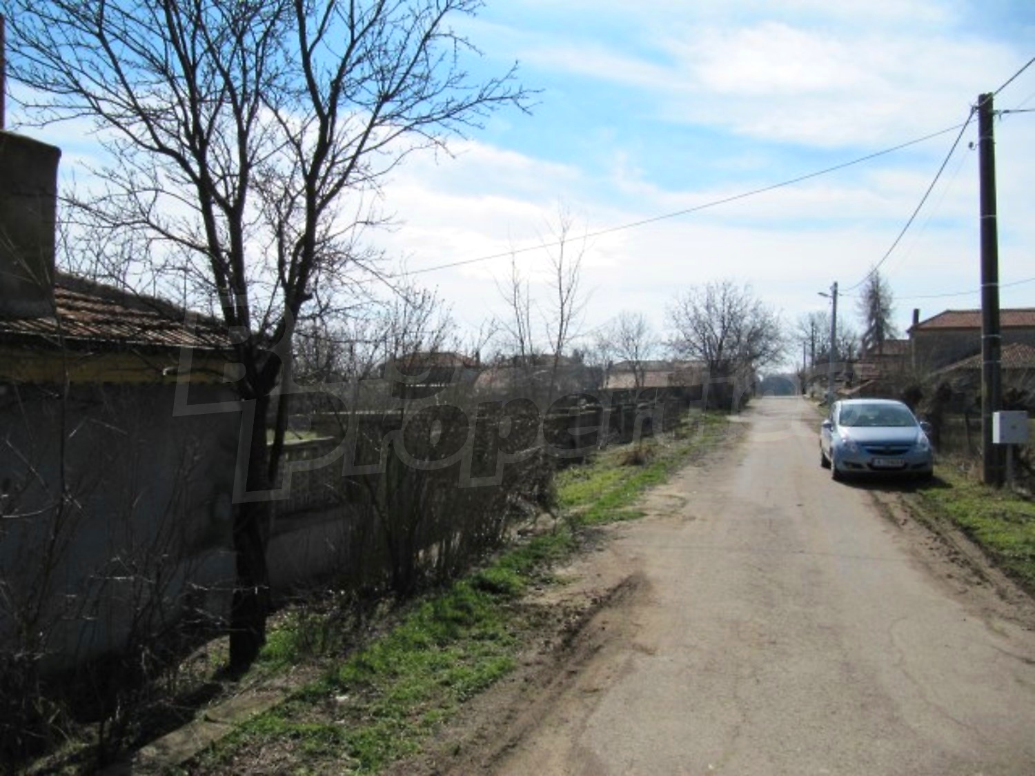 Gallery Picture 31