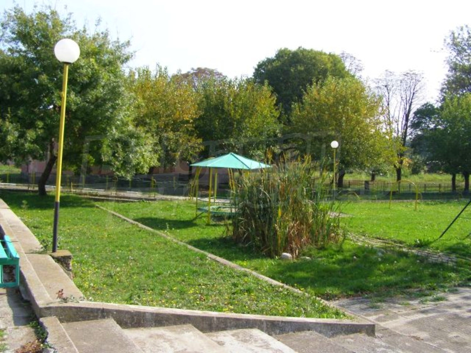 Gallery Picture 35