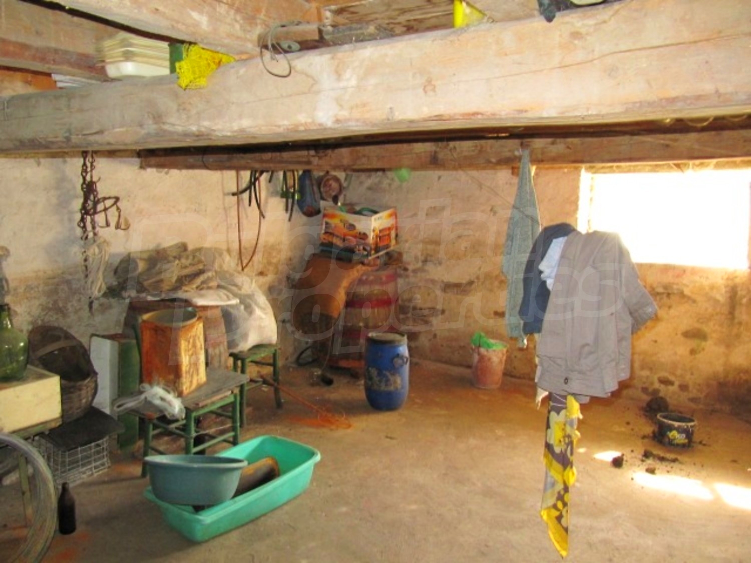 Gallery Picture 8