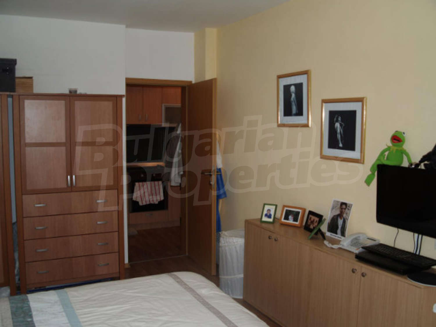 Gallery Picture 19