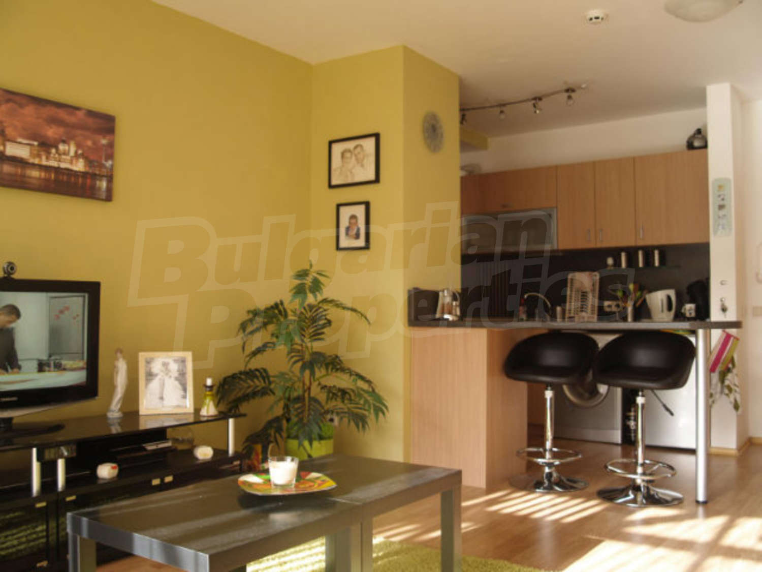 Gallery Picture 7