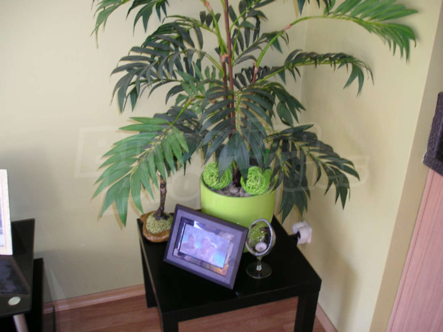 Gallery Picture 10