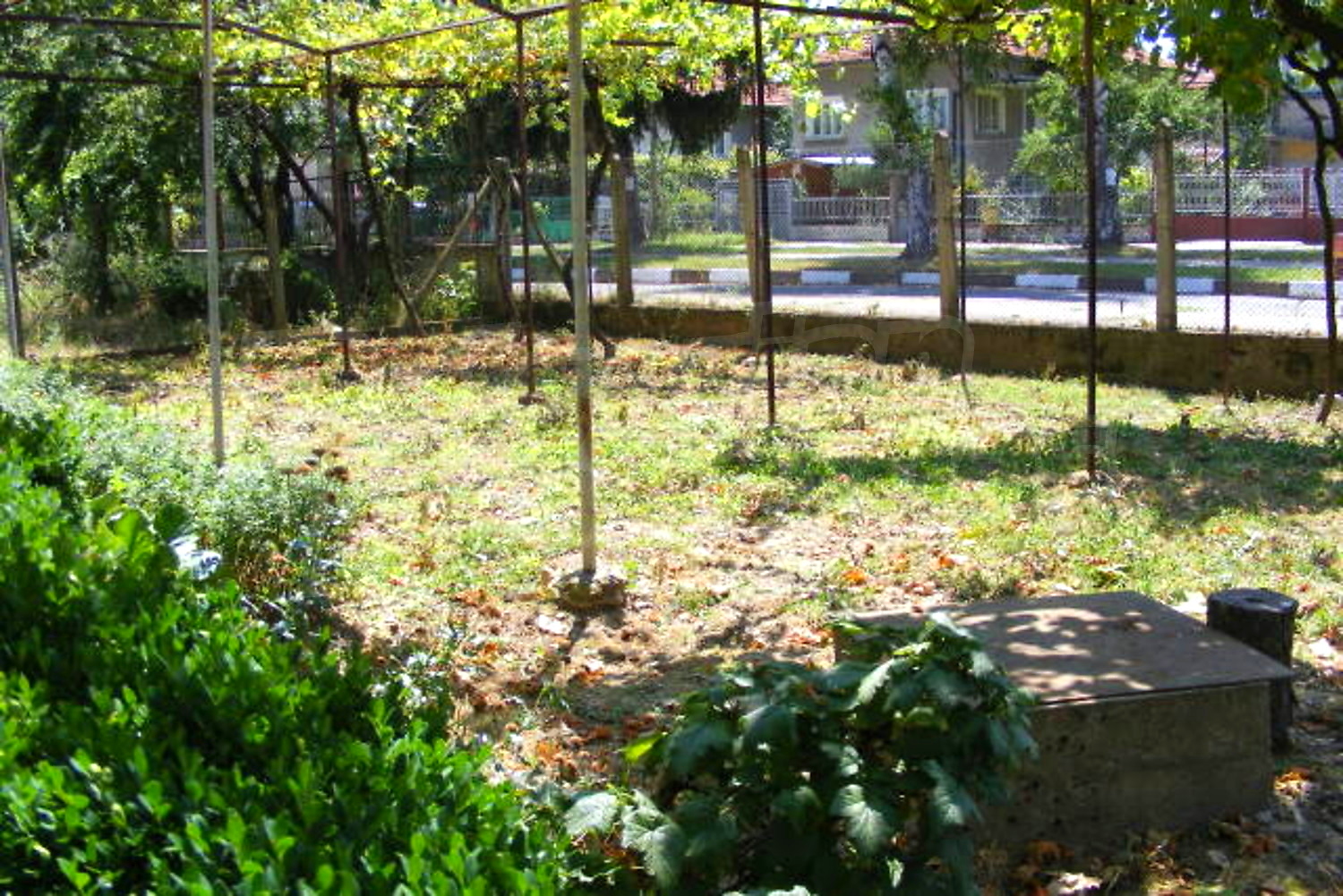 Gallery Picture 19