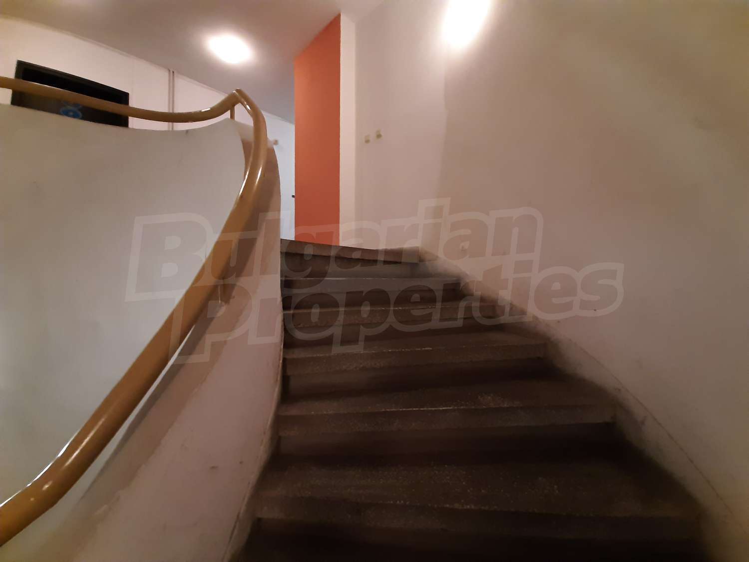 Gallery Picture 24