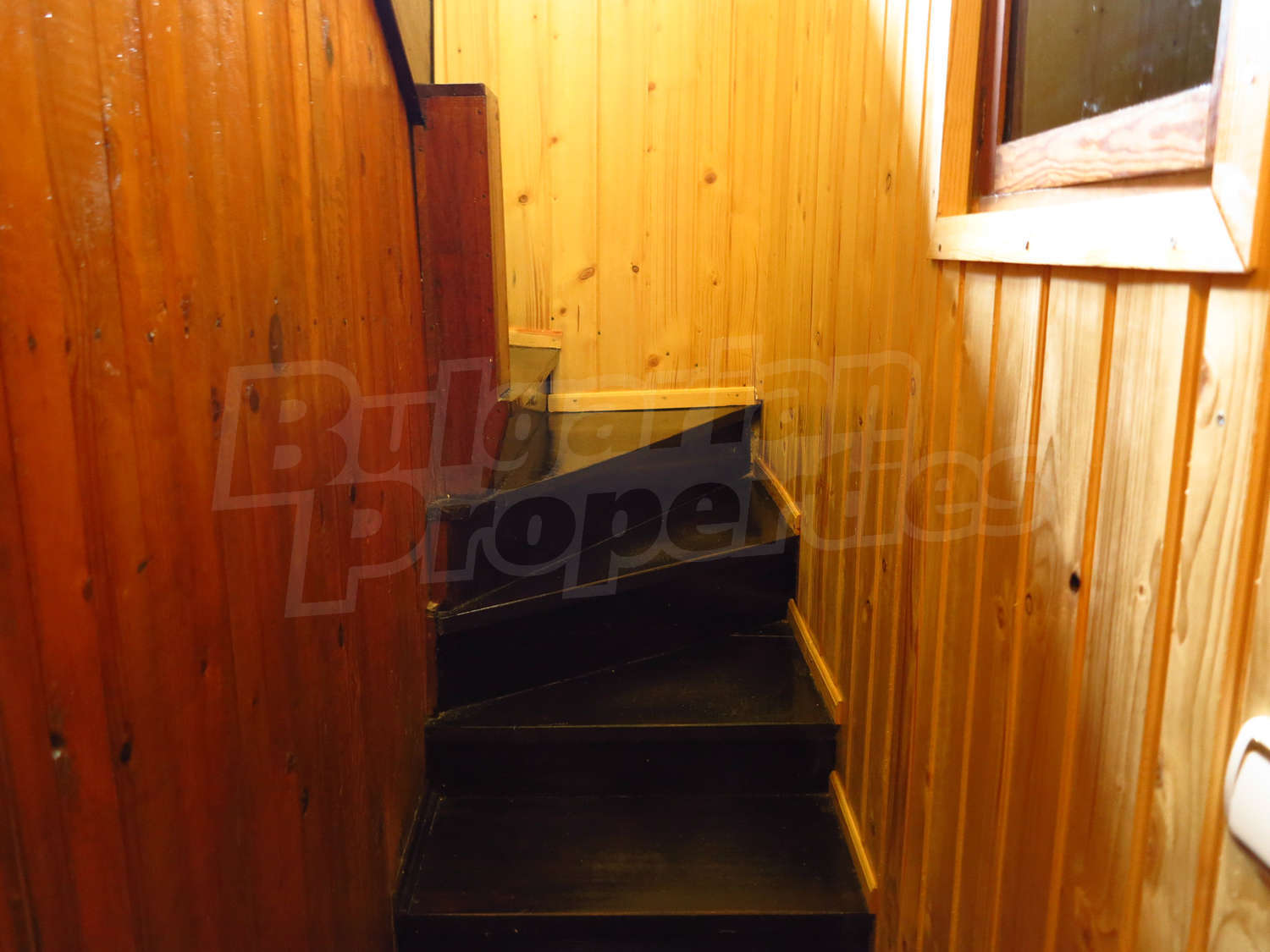 Gallery Picture 16