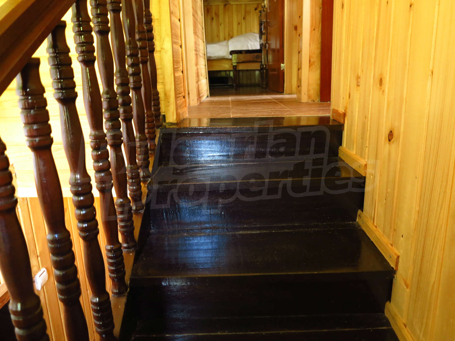 Gallery Picture 17