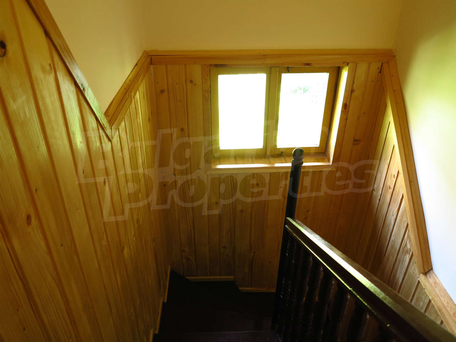 Gallery Picture 39