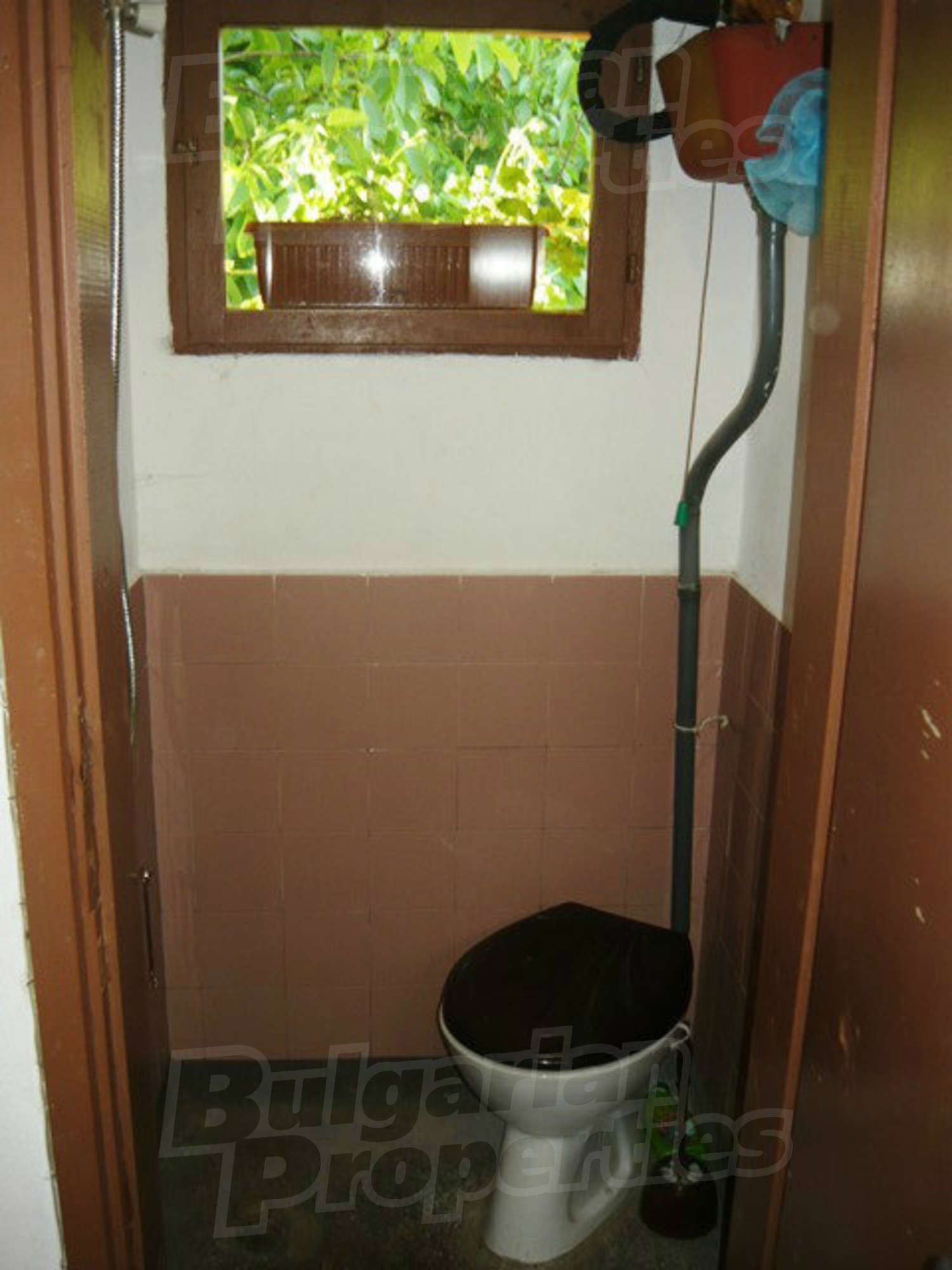 Gallery Picture 19