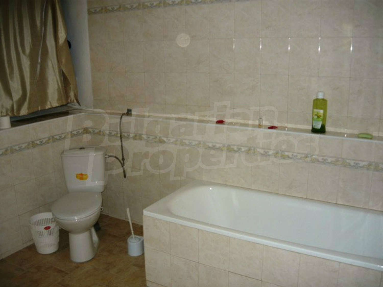 Gallery Picture 23