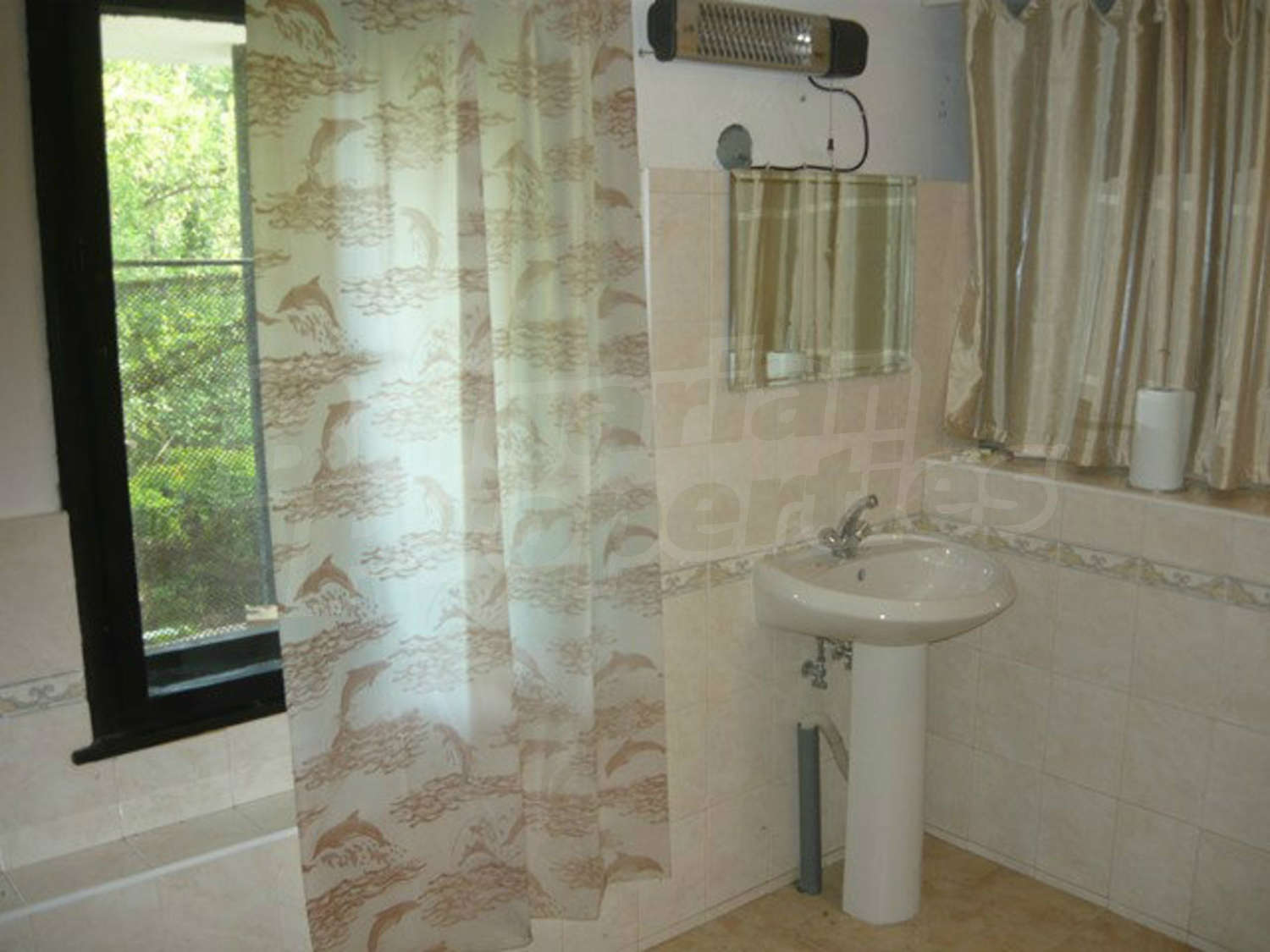 Gallery Picture 25