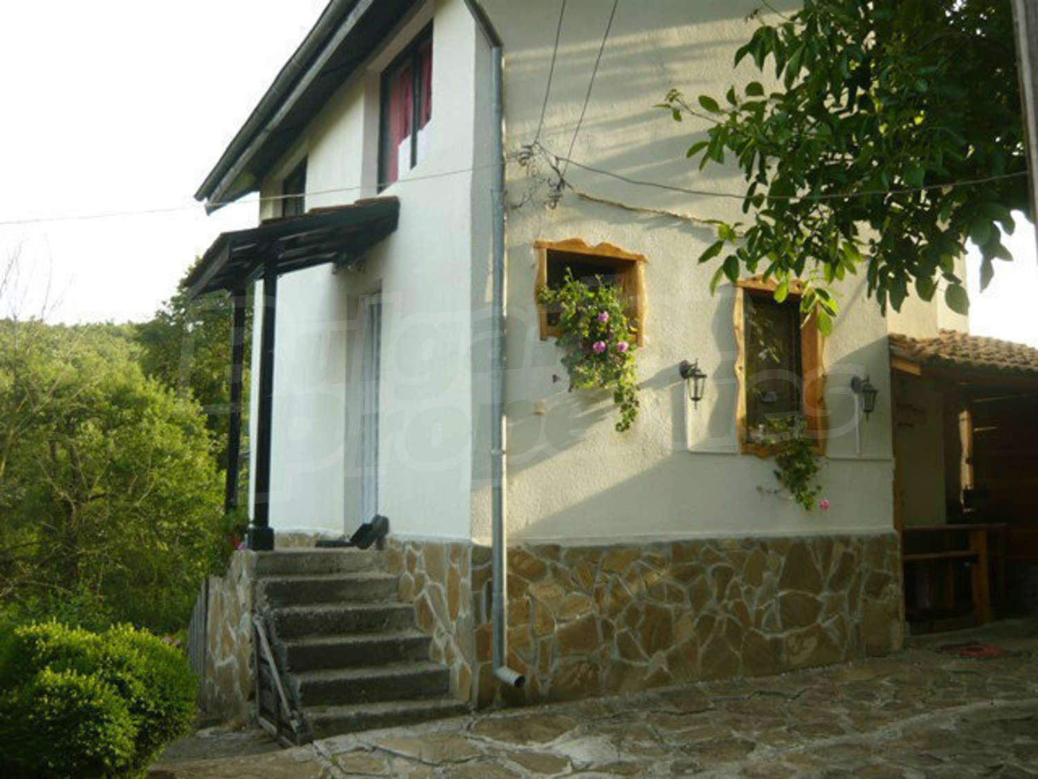 Gallery Picture 27
