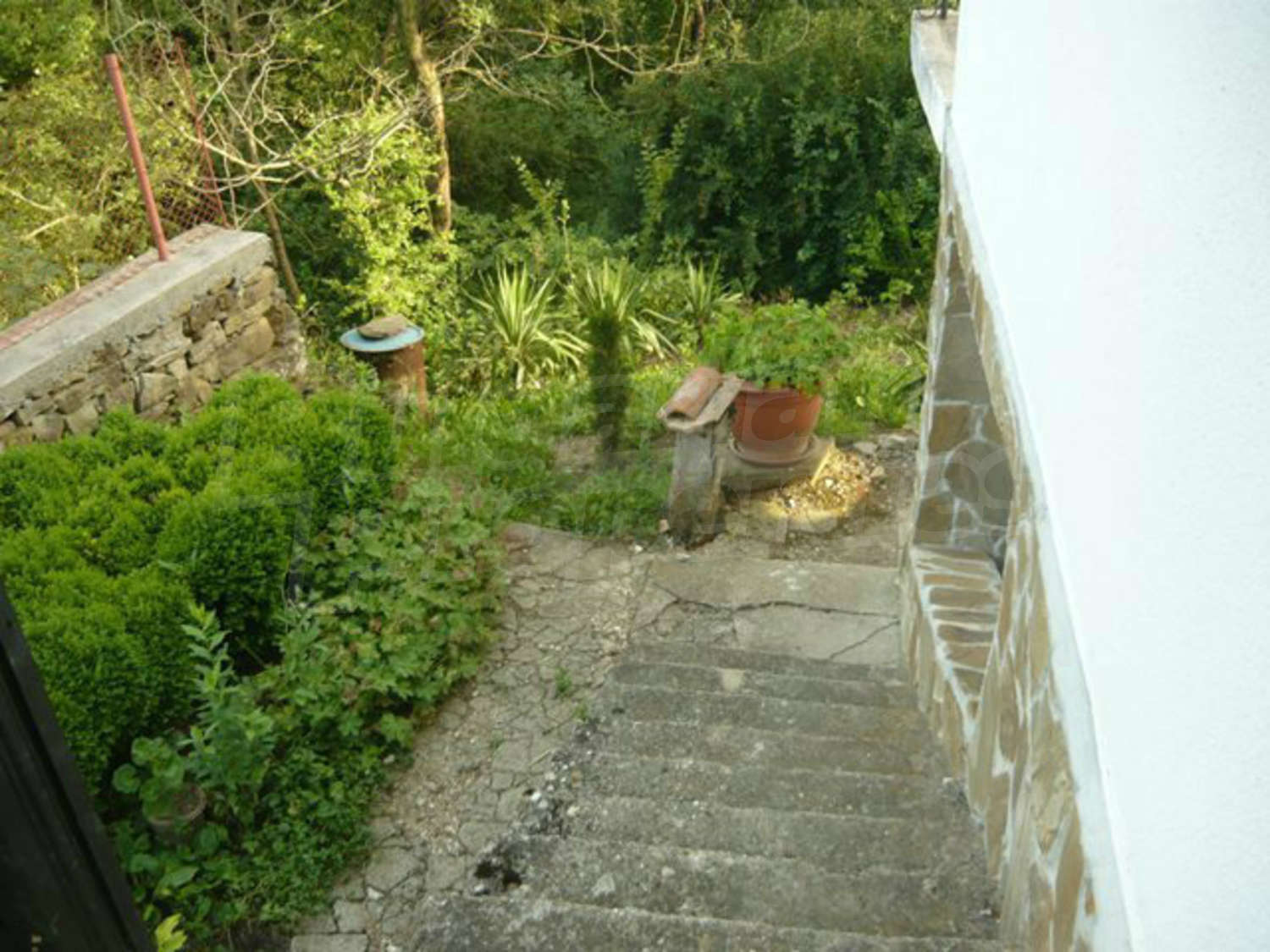 Gallery Picture 31