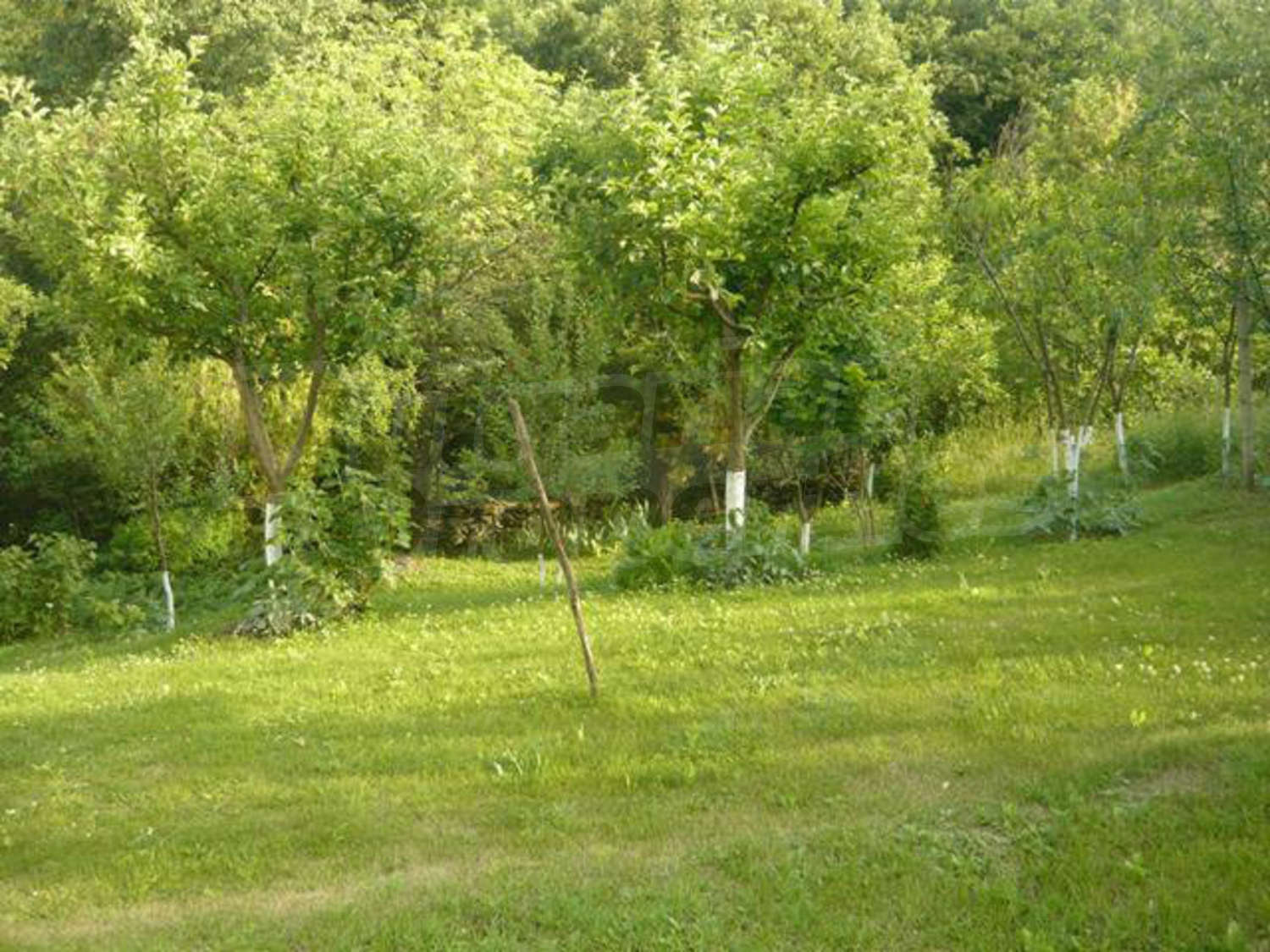Gallery Picture 32