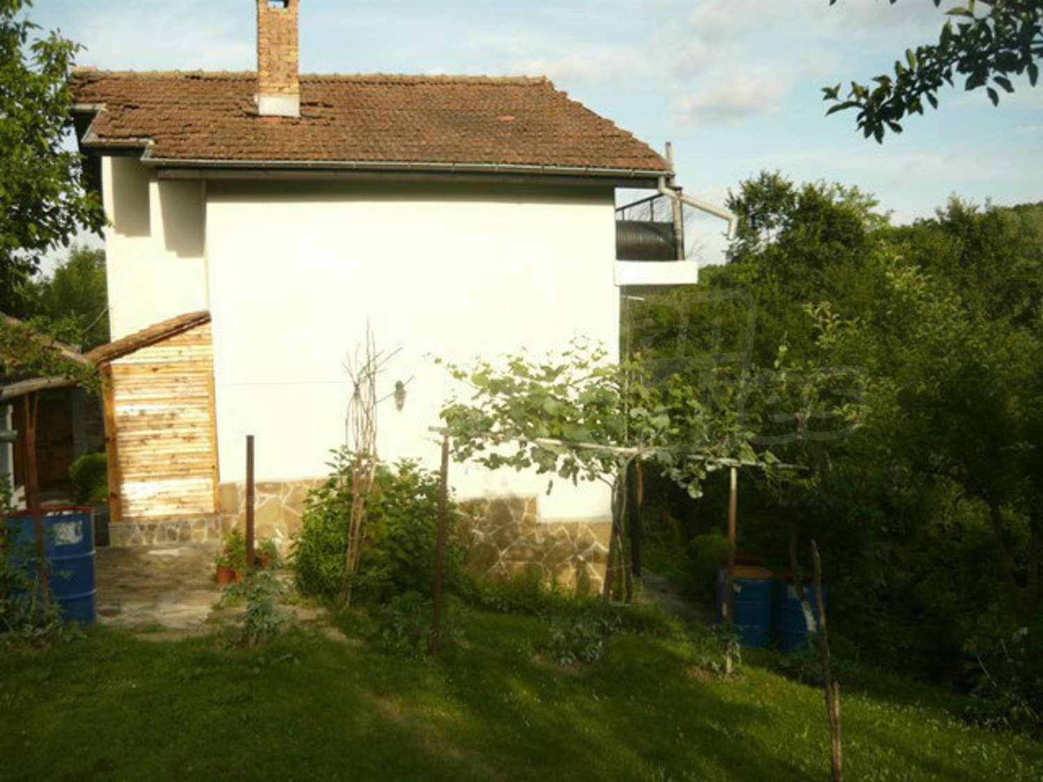 Gallery Picture 33