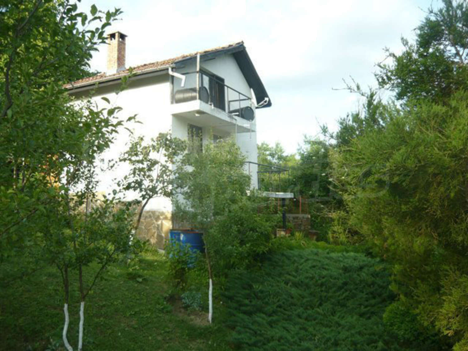 Gallery Picture 34