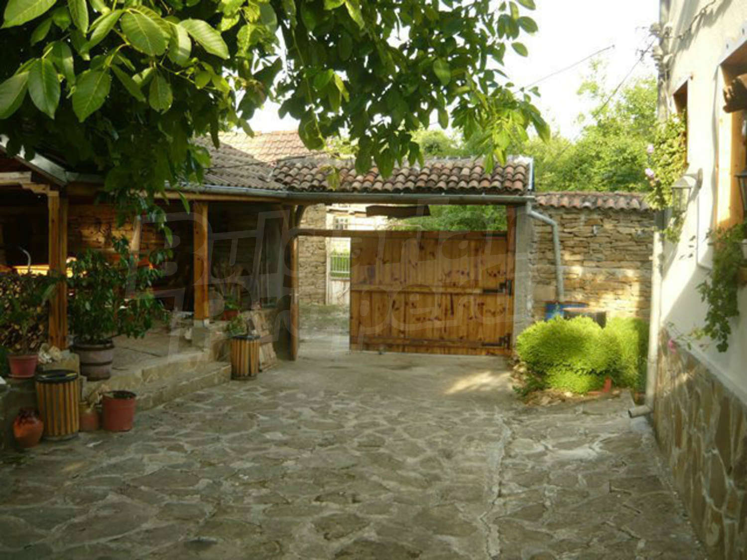 Gallery Picture 35