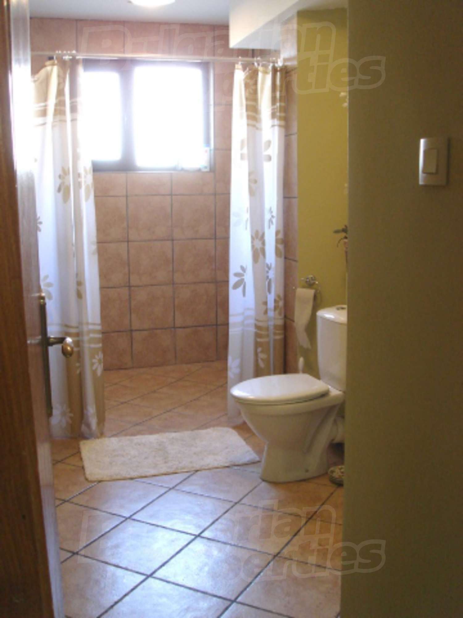 Gallery Picture 10
