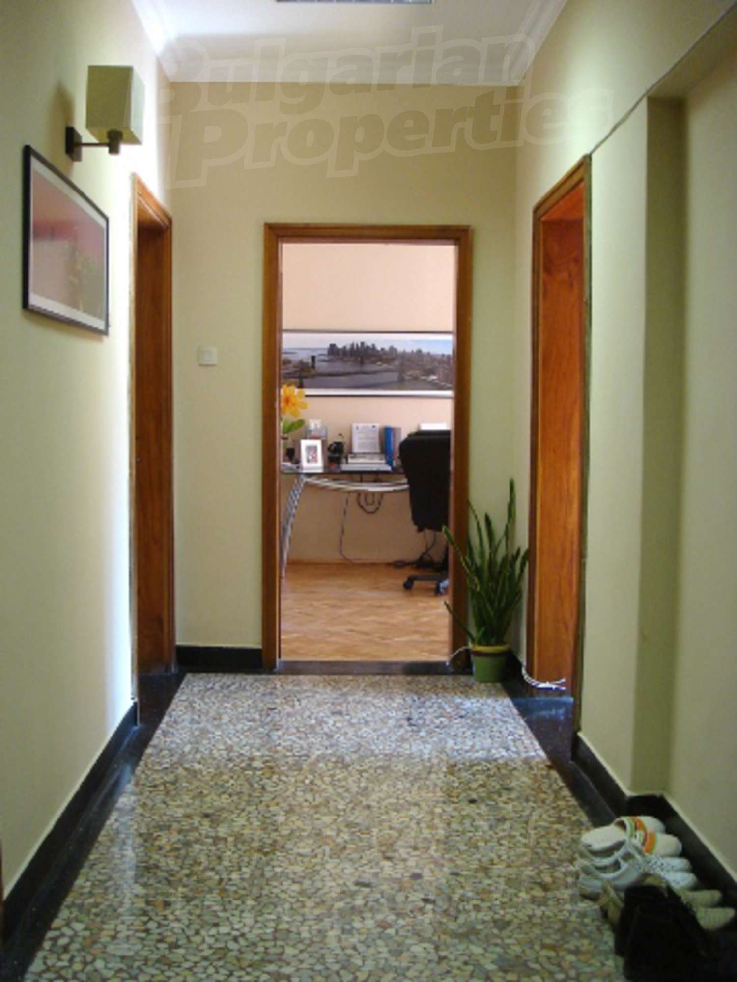 Gallery Picture 12